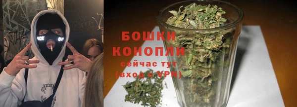 ПСИЛОЦИБИНОВЫЕ ГРИБЫ Новокубанск