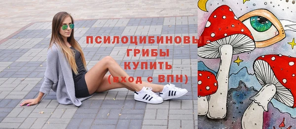 MDMA Новозыбков