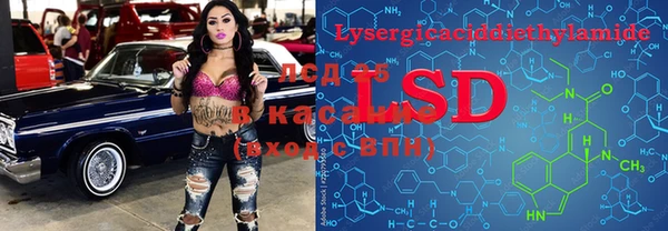 ПСИЛОЦИБИНОВЫЕ ГРИБЫ Новокубанск